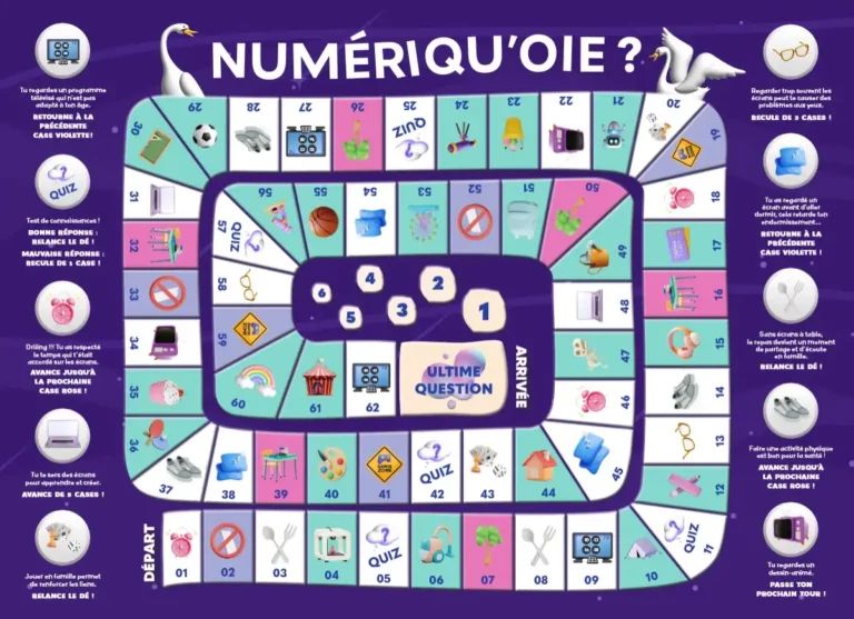 Plateau actuel de Numériqu'oie ?