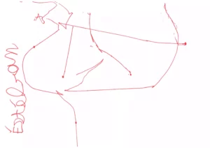 Dessin réalisé par Estéban