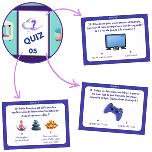 Illustration de quelques cartes quiz du jeu "Numériqu'oie ?"